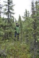 [Stephanie in a black spruce forest]