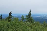 [Panorama of Tanana Valley (left)]