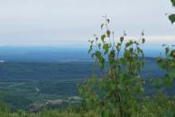 [Panorama of Tanana Valley (right)]