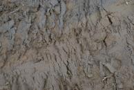 [CLose up of texture in the mud]