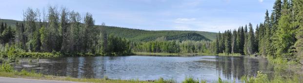 [Panorama of pond on Chena Springs road]