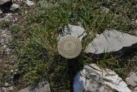 [USGS marker on Eagle Summit]