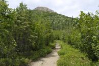 [Mt. Healy trail]