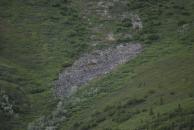 [Close up of gravel on mountain]