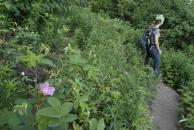 [Flower, trail, and Stephanie]