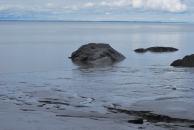 [Low tide at Beluga Point]