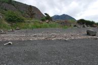 [Shoreline by Turnagain Arm]