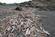 [Turnagain Arm Driftwood]