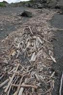 [Turnagain Arm Driftwood]