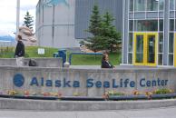 [Alaska SeaLife Center]