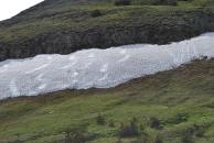 [Close-up of snow on hillside]