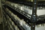 [More shelves of bugs in vials]