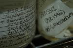 [Close up of jars of fish stuff]