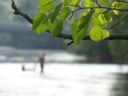 [Blurry guy in water on Huron River]