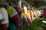 [Colorful buoys]