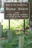 [Stump Beach, Salt Point State Park]