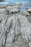 [Rocky shore of Stump Beach]