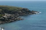 [Pacific Ocean from the Bluff Trail]