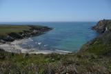 [Pacific Ocean from the Bluff Trail]