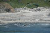 [Stump Beach from the Bluff Trail]