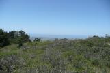 [Looking west on the Inverness Ridge Trail]