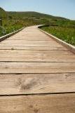 [Abbotts Lagoon boardwalk]