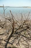 [Driftwood and water, Abbotts Lagoon]