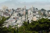 [San Francisco view from Pioneer Park]