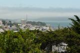 [San Francisco view from Pioneer Park]