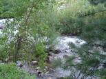 [The Boulder Creek]