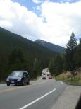 [Traffic stopping to check out the bull-elk]