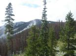 [A view from the chairlift]