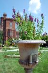 [Garden in front of the Smithsonian Castle]