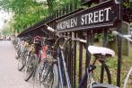 [Bicycles chained to a fence on Magdalen St.]