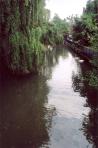 [Along the River Thames]