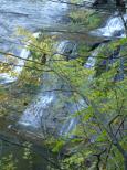 [Another shot of a waterfall through the trees]