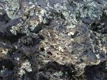 [Close up of a lava rock]