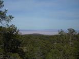 [The Painted Desert in the distance]