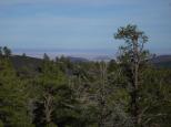 [Another of the Painted Desert]