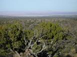 [The Painted Desert]