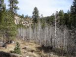 [Walnut Canyon]