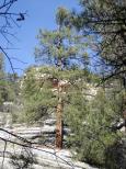 [Walnut Canyon]