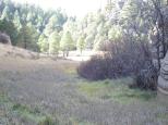 [Walnut Canyon]