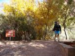 [Crossing the Havasupai Creek]