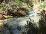 [The Havasupai Creek]