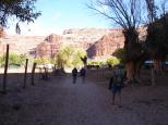 [The village of Supai]