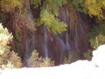 [Havasu falls]