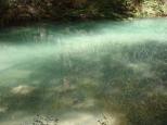 [Havasupai Creek]