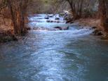 [Havasupai Creek by the campground]