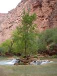 [The Havasupai Creek]